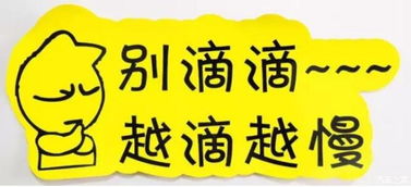 實習車上路 真的可怕嗎？解析馬路上的“隱形警報”與汽車陪駕服務